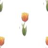 tulips_tile
